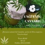 Producto artesanal Endemica 2