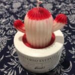 Producto artesanal Endemica 4