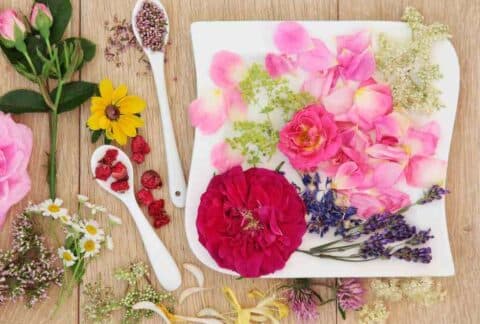 FLORES DE BACH