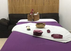 Terapia de biomagnetismo