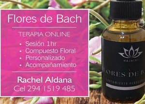 Terapias Najalki flores de Bach