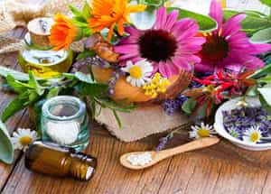 Hermosas flores naturales